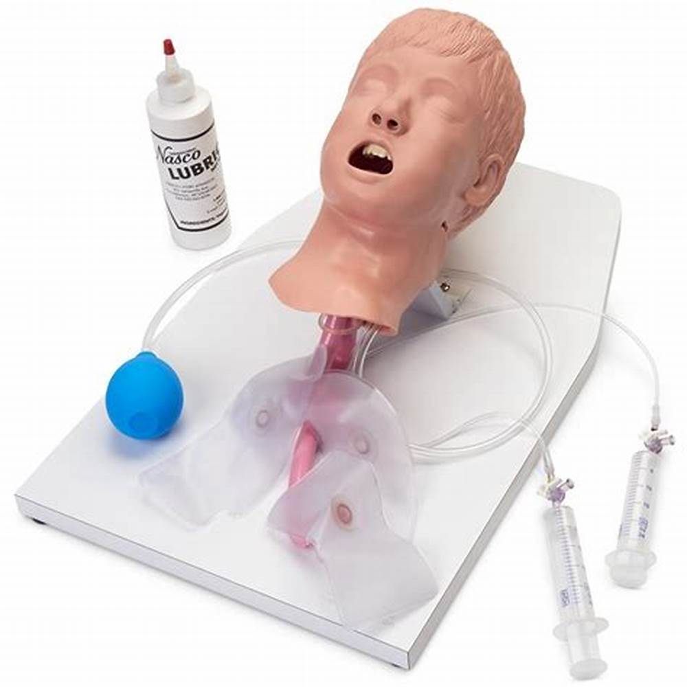 Airway Mankin