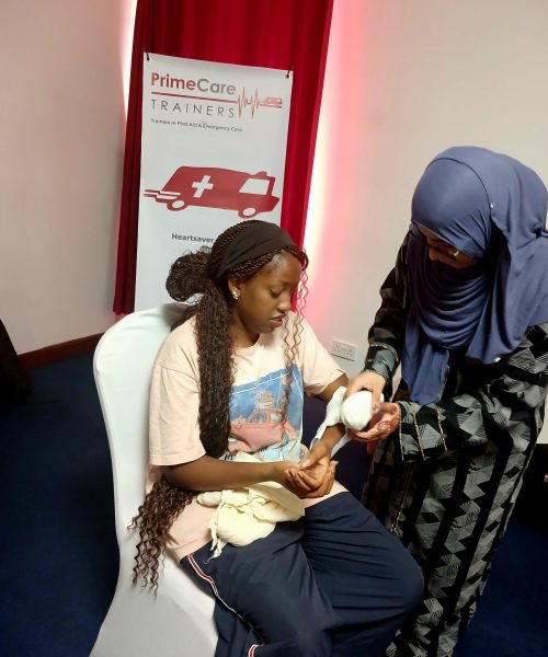 Meducate Corp.Ke # FirstAidMtaani (69)