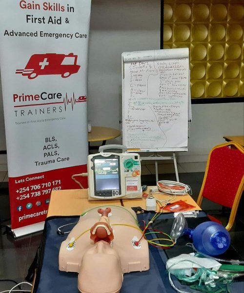 Prime Care Trainers (1)